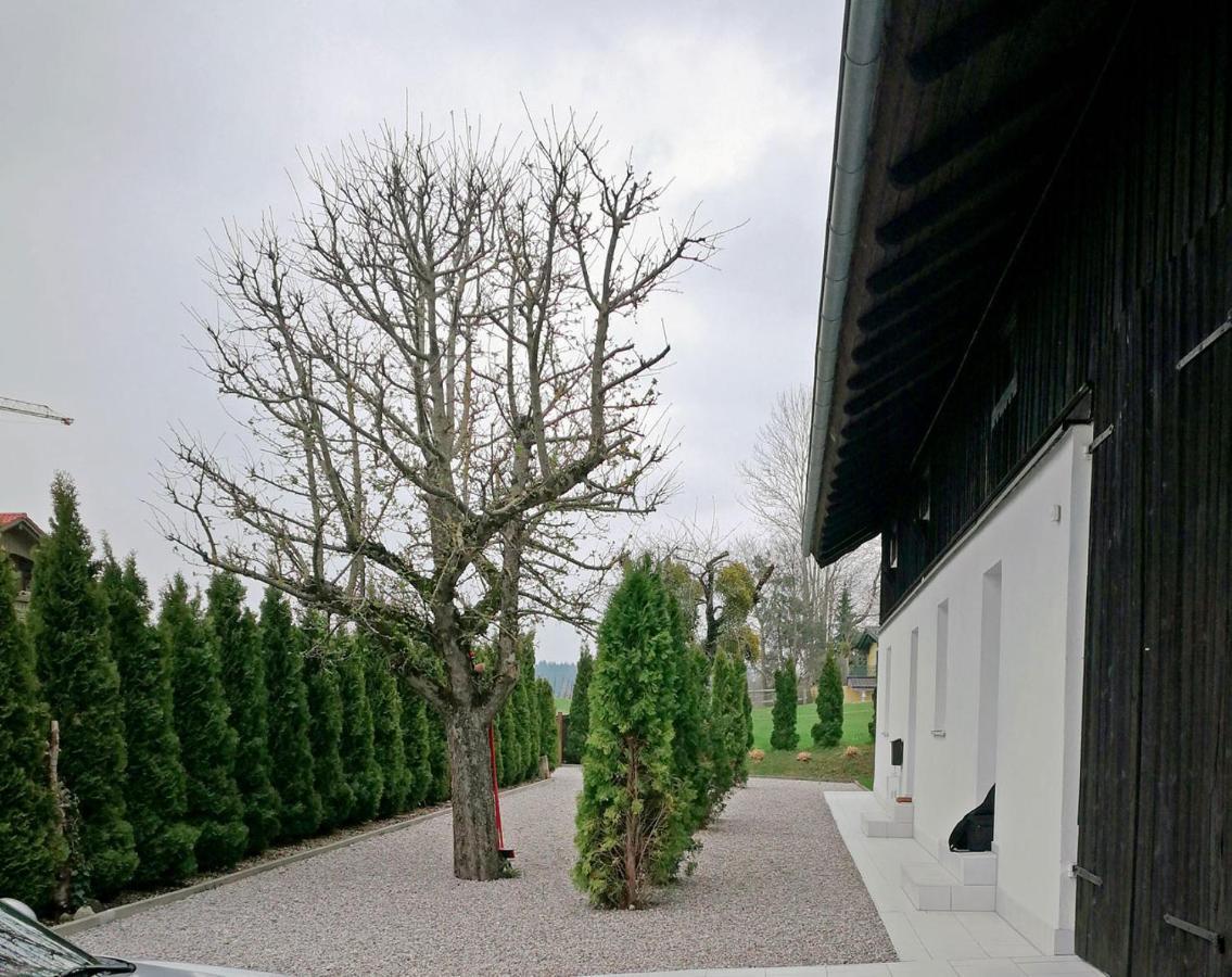Muensing Naehe Starnberger See, Schoene Ferienwohnung, Gaestewohnung 125Qm Eg Und Og Kontaktfrei Exterior foto