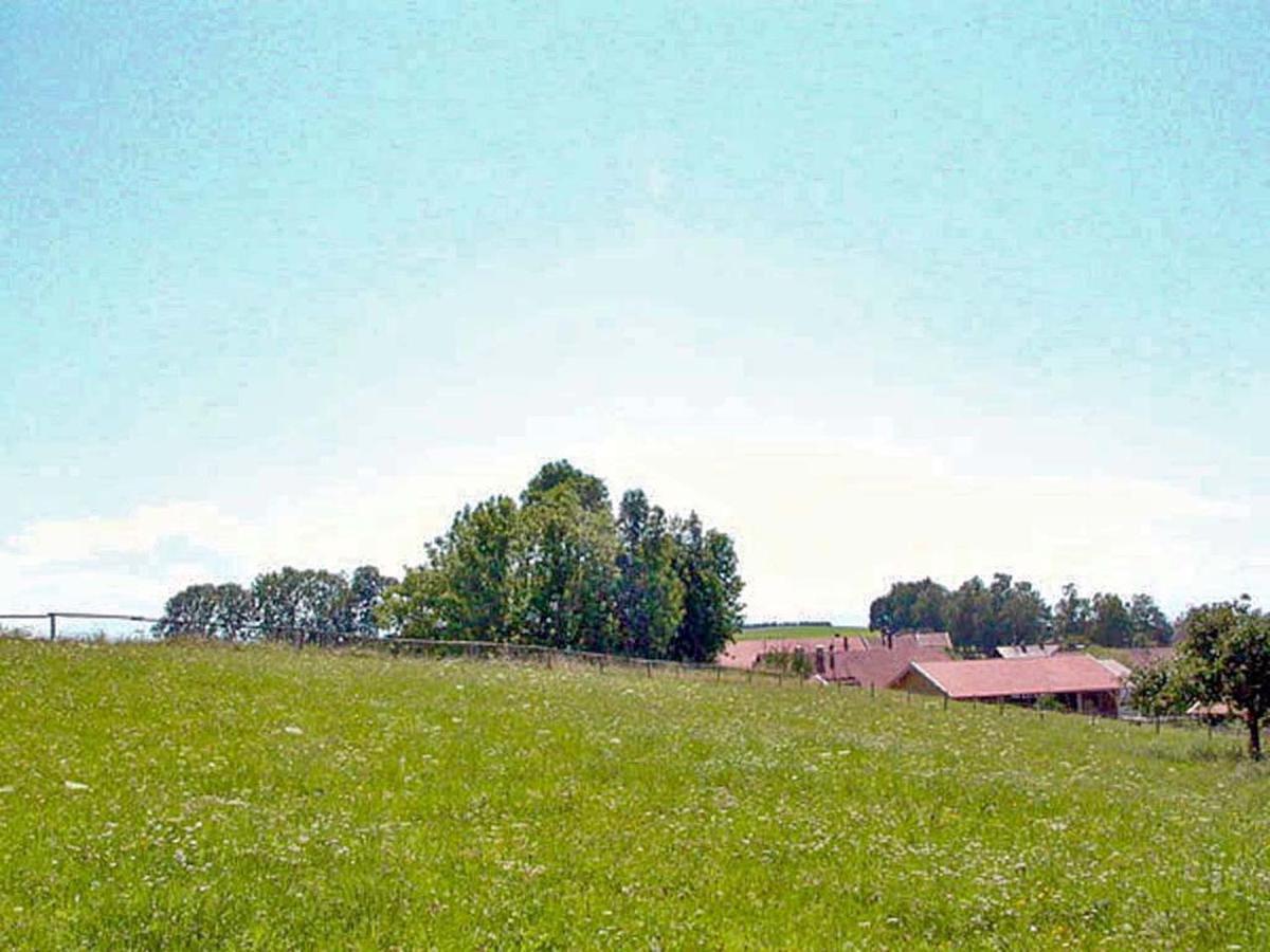 Muensing Naehe Starnberger See, Schoene Ferienwohnung, Gaestewohnung 125Qm Eg Und Og Kontaktfrei Exterior foto